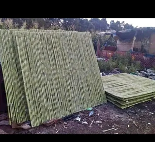 Bamboo fences