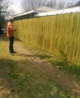 Bamboo fences