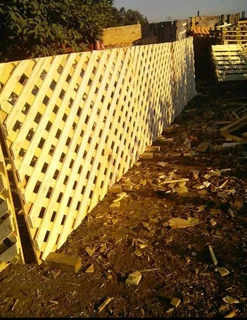 Trellises and flower boxes