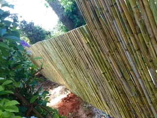 Black wattle fences