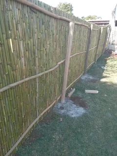Wattle fences