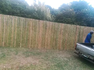Bamboo fences