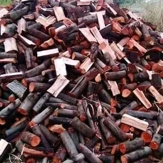 Dry firewood
