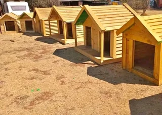 Dog kennels