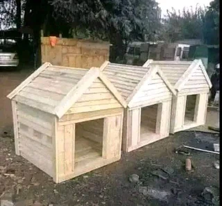 Dog kennels