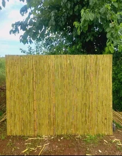 Bamboo fences