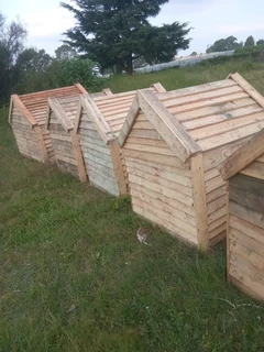 Dog kennels