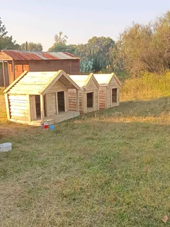 Dog kennels