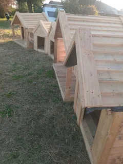 Dog kennels