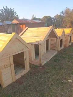 Dog kennels