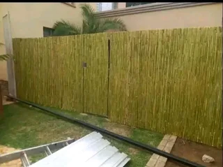 Bamboo fences