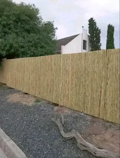 Bamboo fences