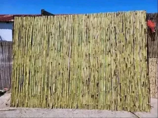 Bamboo fences