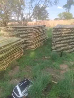 Bamboo fences