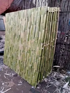Bamboo fences
