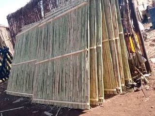 Bamboo fences