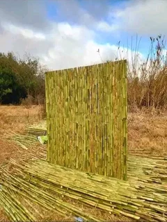 Bamboo fences