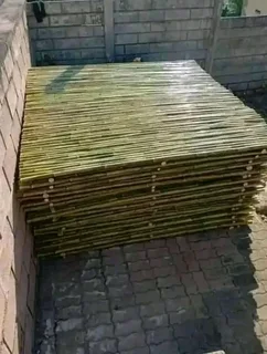 Bamboo fences