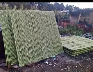 Bamboo fences