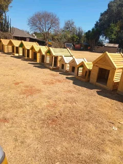Dog kennels