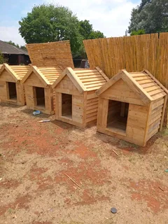 Dog kennels