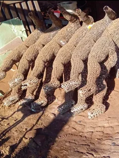 Metal art sculptures