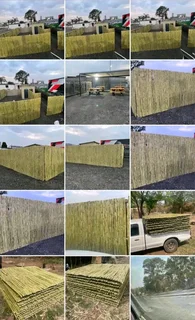 Bamboo fences