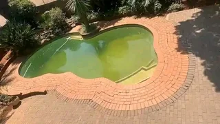 Swimming ‍♀️pools