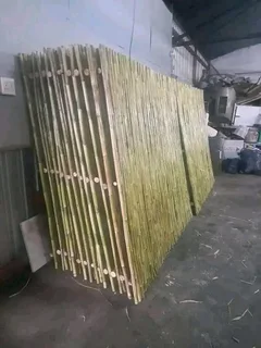 Bamboo fences