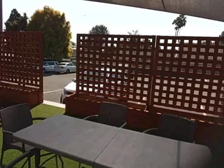 Trellises and flower boxes