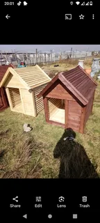 Dog kennels