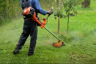 Lawn maintenanceand landscaping