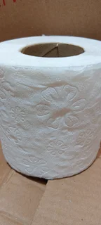 24 roll 2 ply toilet paper