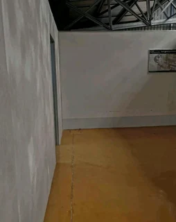 Rhinoliting and plastering