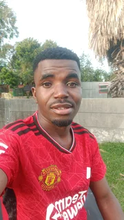 I'm looking for any job