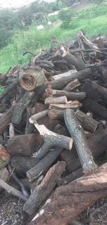 We Collect wood Feom Sites