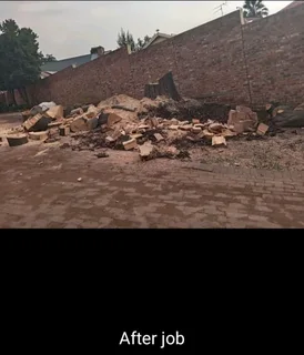 Tree Felling Sandton