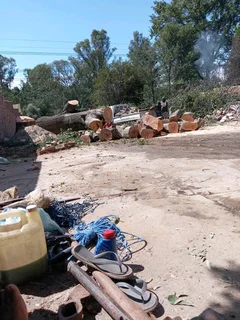 Tree Removal and Tree Felling Johannesburg