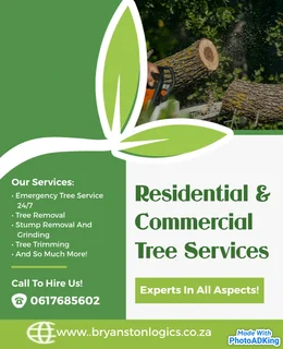 Tree Felling Services and Tree Removal Randburg