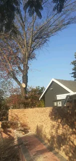 Tree Felling Bryanston