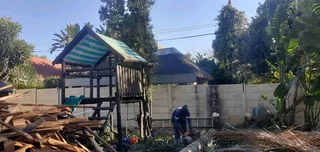 Tree Felling Bryanston