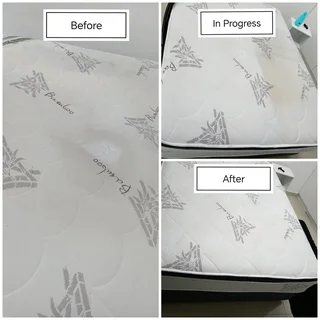 Carpet and Upholstery cleaning