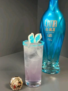 Bryan Drinks Co_bartenders hire