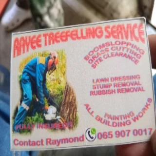 Rayee Treefelling services