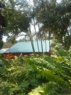 Nutec Homes and Log Homes: &#43;27733112659.