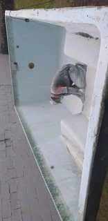 Pools and Tree Felling