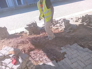 Pools and Tree Felling