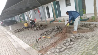 Pools and Tree Felling