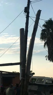 Pools and Tree Felling