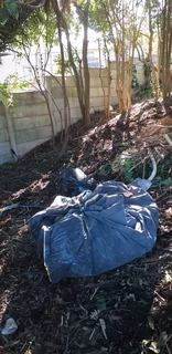 Pools and Tree Felling
